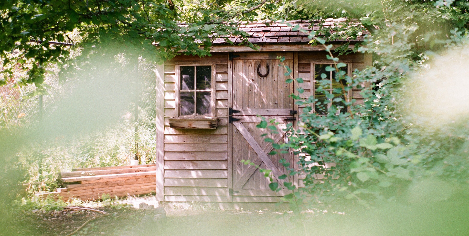 Wooden shed in wooded yard